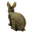 Kaninchen sitzend Polystone 22 x 22 cm Prodex A00420